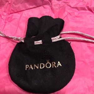 i accidentally purchased. doesn’t  my bracelet